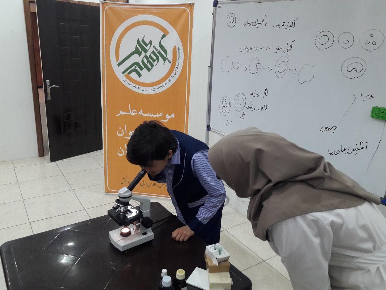 Half day bioscience camp (4)