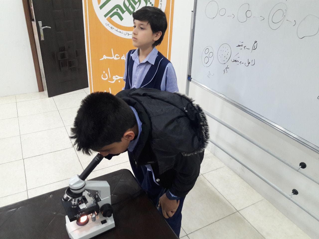Half day bioscience camp (5)