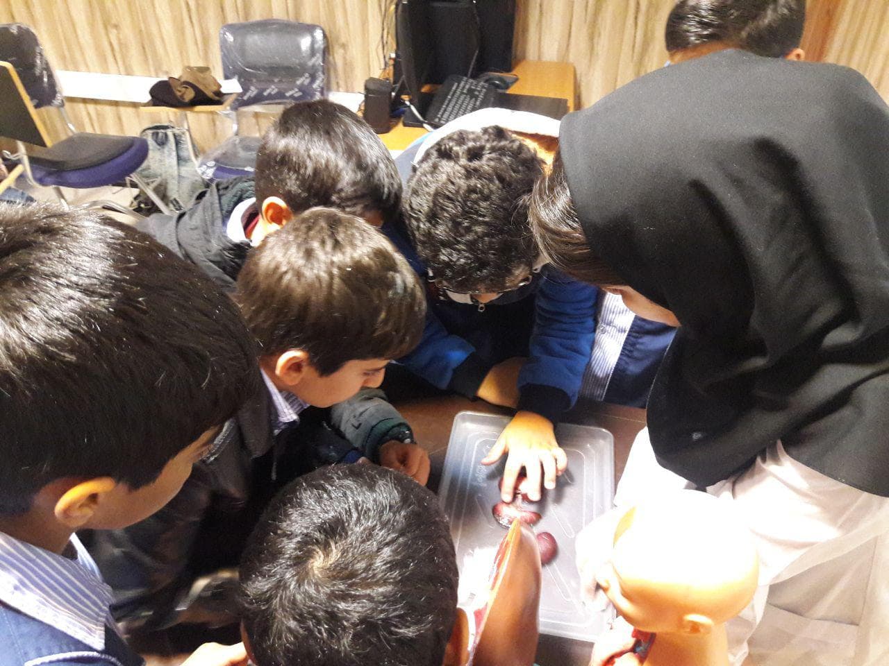 Half day bioscience camp (6)