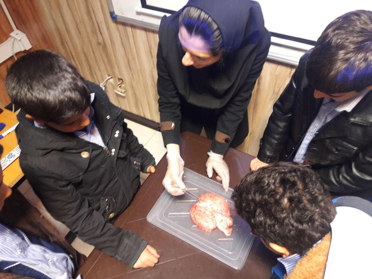 Half day bioscience camp (8)