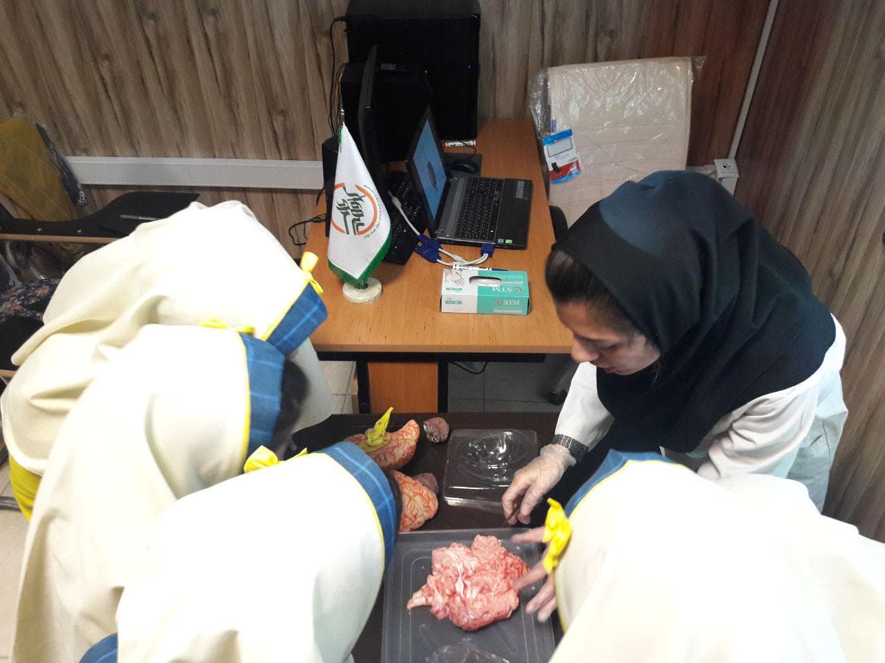 Half-day life sciences camp for fifth grade elementary students, hadise mehr Elementary School