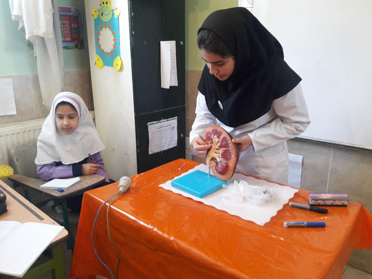 Half-day life sciences camp for fourth, fifth and sixth grade elementary students, Elementary School of Science and Literature (4)