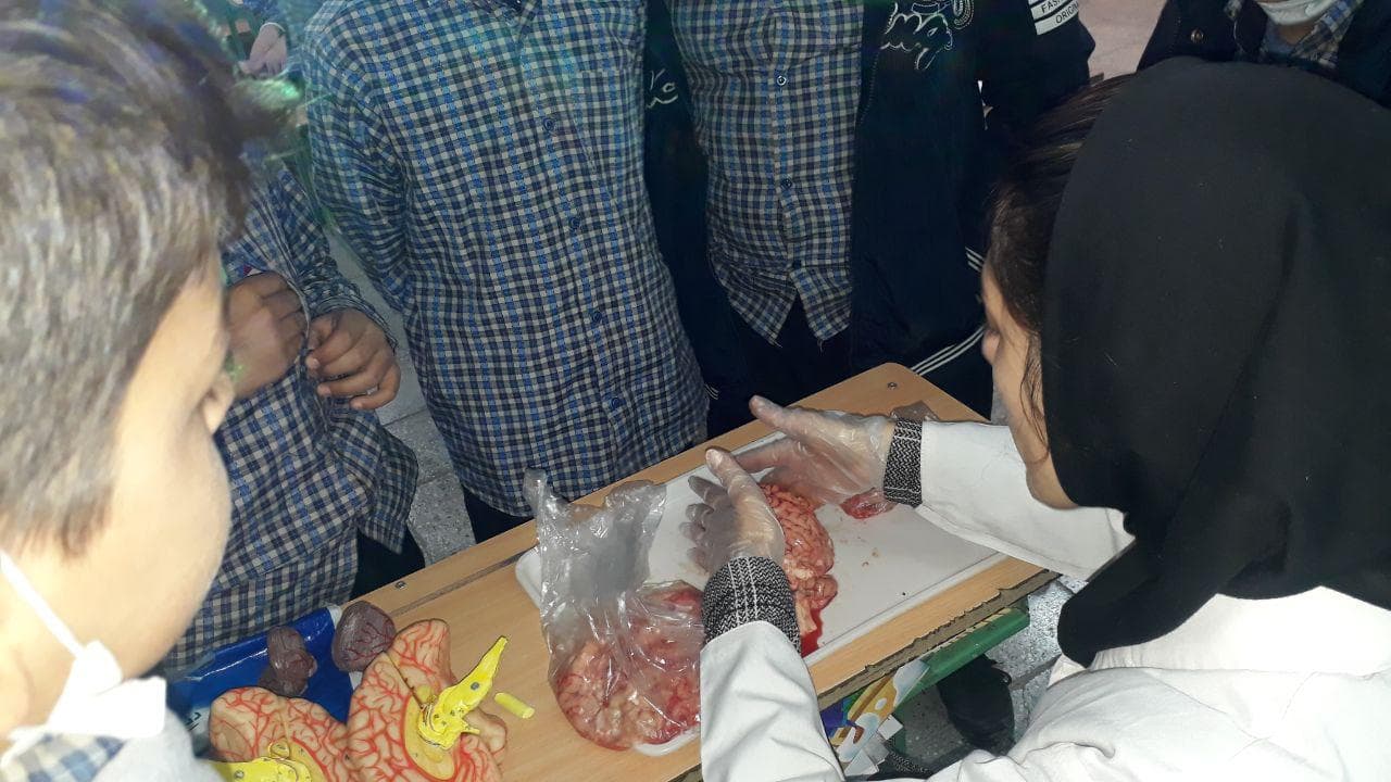 Half-day life sciences camp for fourth, fifth and sixth grade elementary students, tabesh Elementary School (3)